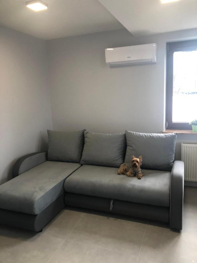 Klimatyzowane Apartamenty I Pokoje Przy Targach Kielce Eksteriør billede